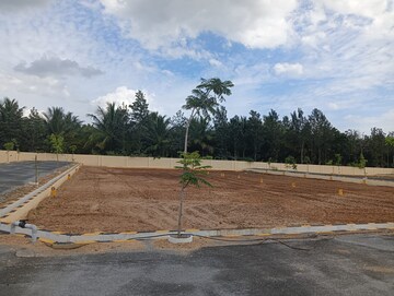 Plot Area in  Plot at Kovilpalayam – for Sale