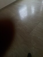 2 BHK 1202 Sq.Ft. Independent House in RWA Apartments Sector 41