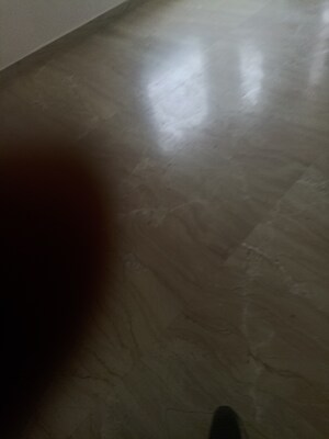 2 BHK Independent House For Rent in RWA Apartments Sector 41, Sector 41