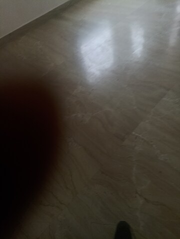 2 BHK Independent House For Rent in RWA Apartments Sector 41, Sector 41