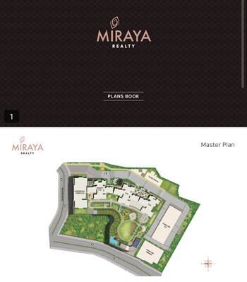 Mextech Miraya Divine