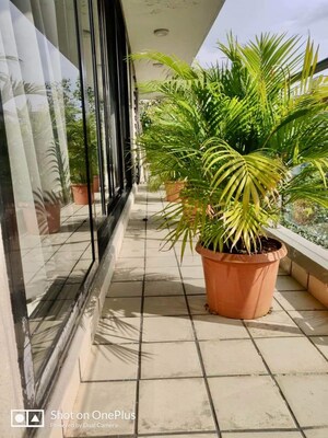 Balcony in 3 BHK Apartment at Kolte Patil K52, Khar West – for Rent