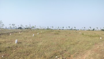 Plot Area in  Plot at Trimbak – for Sale