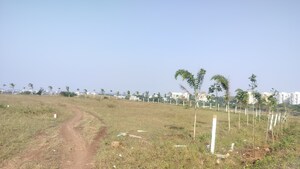  Plot For Sale in Trimbak