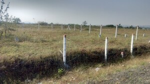 Plot Area in  Plot at Trimbak – for Sale