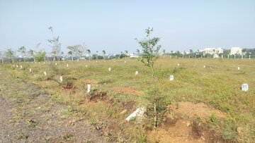 Plot Area in  Plot at Trimbak – for Sale