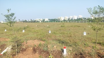 Plot Area in  Plot at Trimbak – for Sale