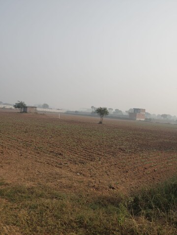  Land For Sale in Pataudi