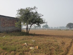 Plot Area in  Land at Pataudi – for Sale