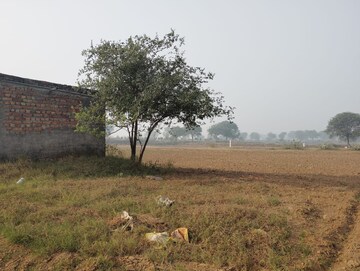 Plot Area in  Land at Pataudi – for Sale