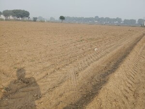 Plot Area in  Land at Pataudi – for Sale