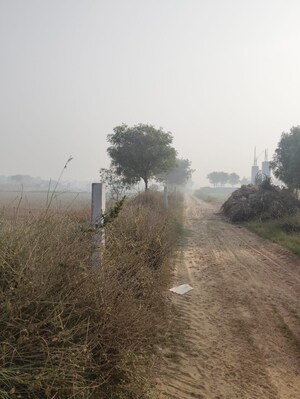 Plot Area in  Land at Pataudi – for Sale