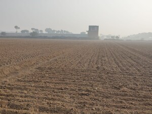 Plot Area in  Land at Pataudi – for Sale