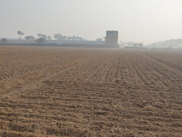 Plot Area in  Land at Pataudi – for Sale