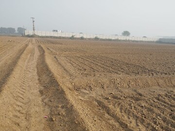 Plot Area in  Land at Pataudi – for Sale