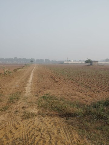 Plot Area in  Land at Pataudi – for Sale