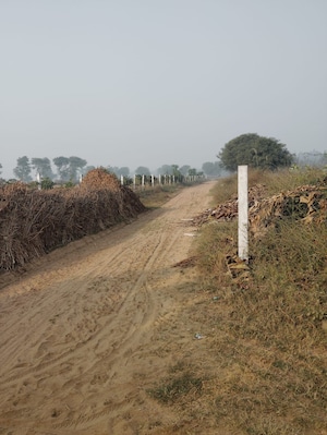 Plot Area in  Land at Pataudi – for Sale