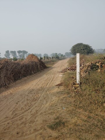 Plot Area in  Land at Pataudi – for Sale