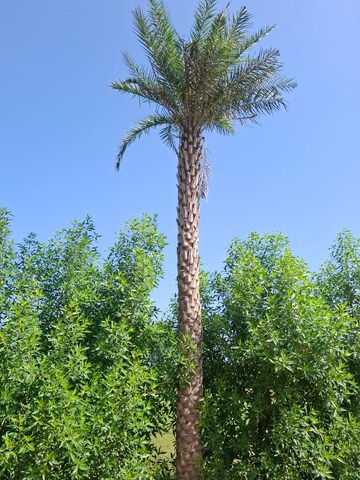  Land – Garden View at Gurgaon Faridabad Road - for Sale