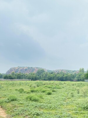 Plot Area in  Land at Gurgaon Faridabad Road – for Sale