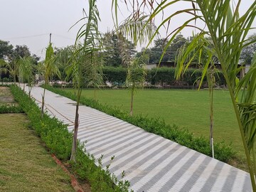  Land – Exterior View View at Neha Florence, Ballabhgarh - for Sale