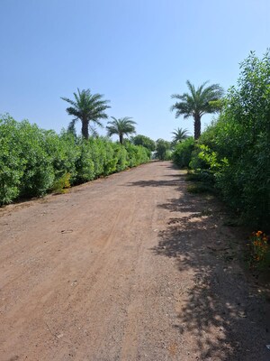 Plot Area in  Land at Neha Florence, Ballabhgarh – for Sale