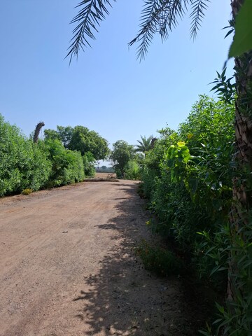 Plot Area in  Land at Neha Florence, Ballabhgarh – for Sale