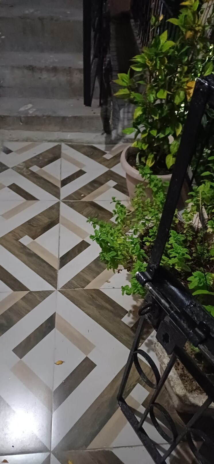 Balcony, saket 1 Bedroom 450 Sq.Ft. Builder Floor In Saket Delhi 9473912