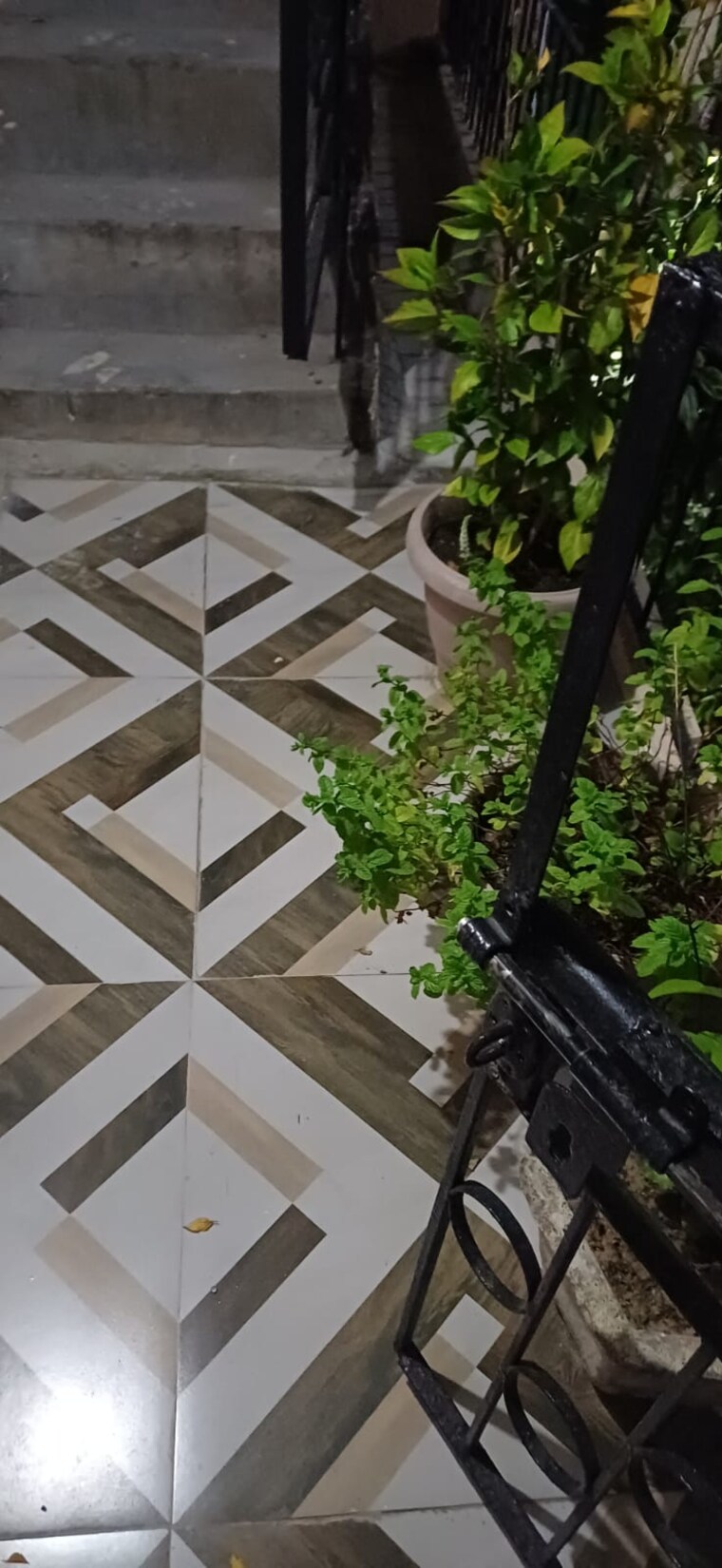 Balcony, saket 1 Bedroom 450 Sq.Ft. Builder Floor In Saket Delhi 9473912