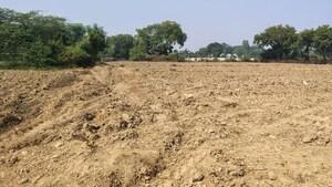 Plot Area in  Plot at Raebareli Road – for Sale