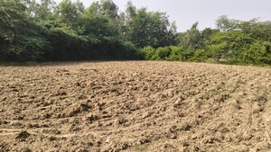 Plot Area in  Plot at Raebareli Road – for Sale