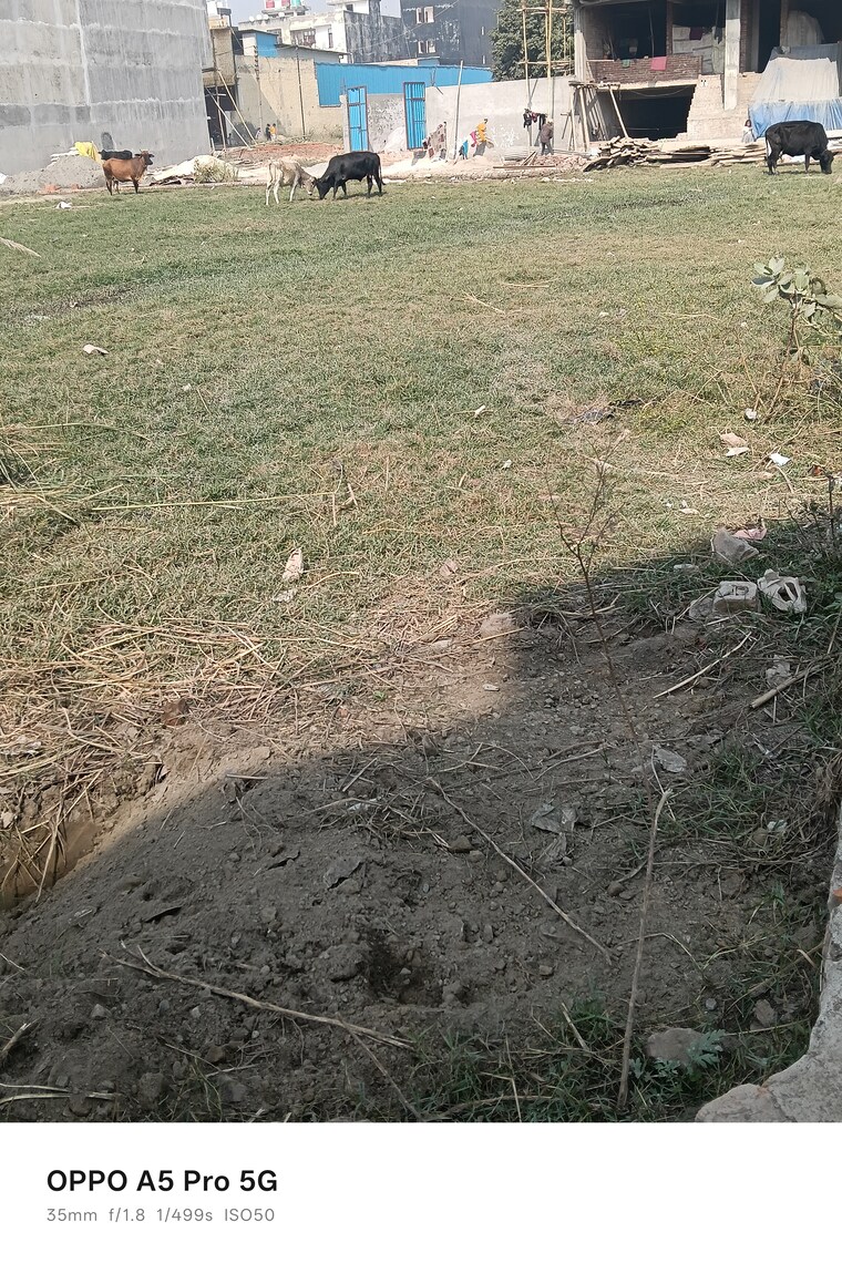 undefined, sk-the-grand-city  765 Sq.Ft. Plot In Jewar Greater Noida 9473971