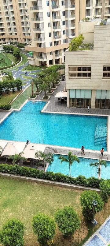 Swimming Pool in 4 BHK Apartment at Ambience Creacions, Sector 22 – for Rent