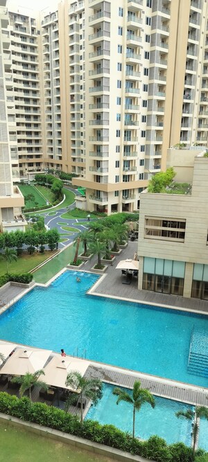 4 BHK Apartment For Rent in Ambience Creacions, Sector 22