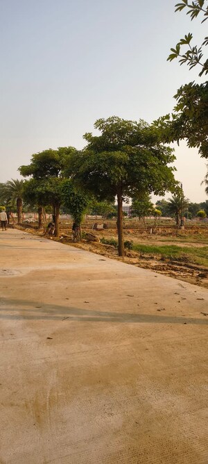 Plot Area in  Plot at Sujanpur – for Sale