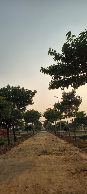 Plot Area in  Plot at Sujanpur – for Sale