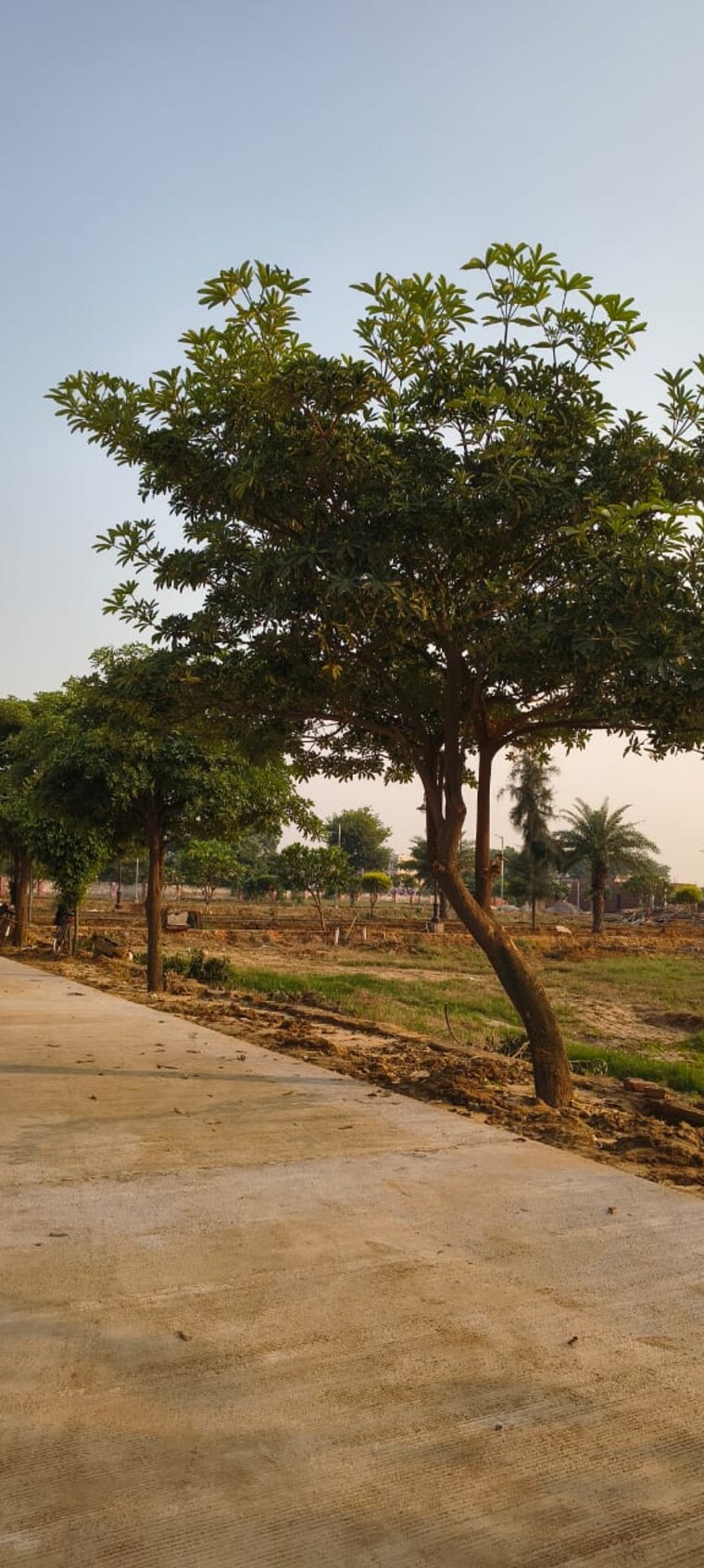 undefined, sujanpur  209 Sq.Mt. Plot In Sujanpur Aligarh 9474316
