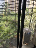 3 BHK + Pooja Room 1150 Sq.Ft. Apartment in Riddhi Gardens CHS