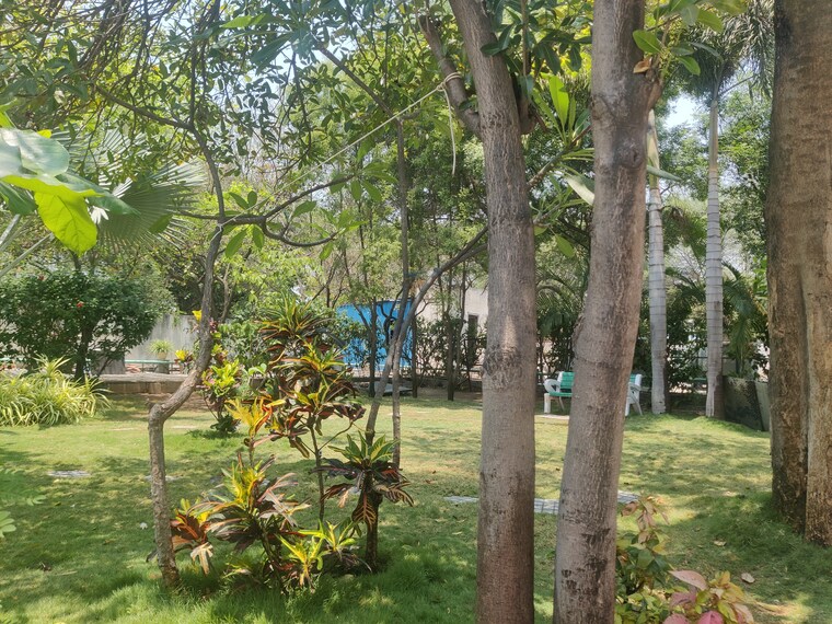 Garden, mc-sarovar 2 Bedroom 1223 Sq.Ft. Apartment In Medahalli Bangalore 9474689