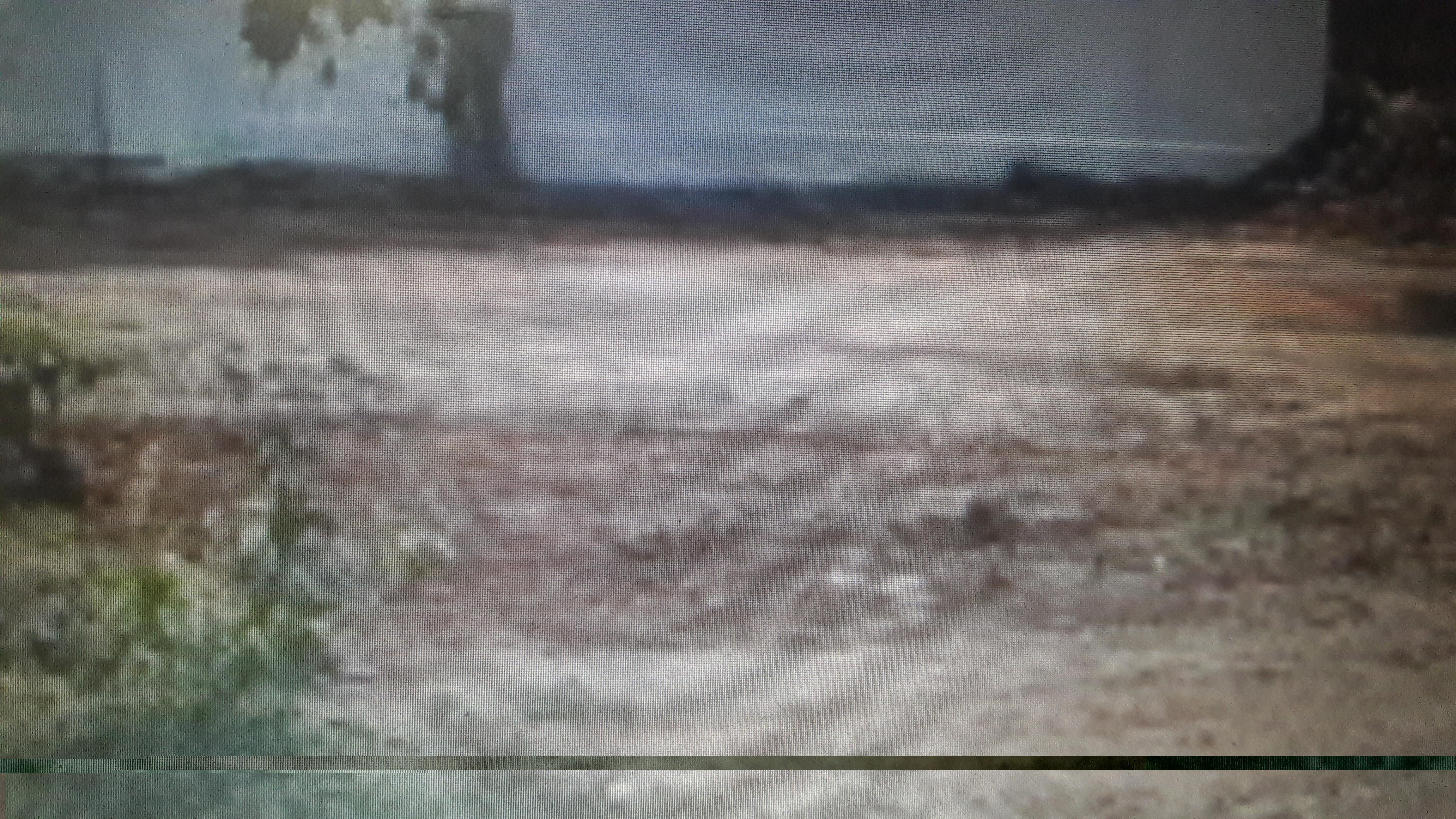 Plot For Sale in Cross Realtors