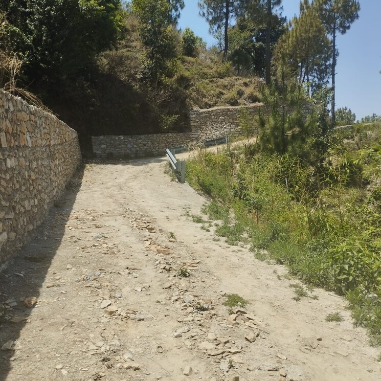 undefined, dadri  100 Sq.Yd. Plot In Dadri Greater Noida 9475077