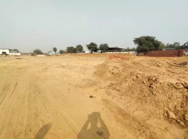 undefined, sector 9a  1480 Sq.Ft. Plot In SectoR 9a Jhajjar 9475295