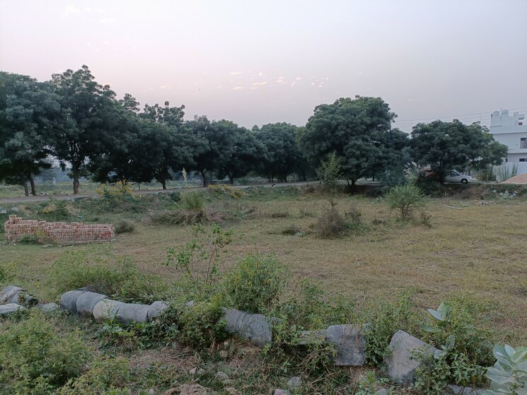 undefined, sector 9a  1460 Sq.Ft. Plot In SectoR 9a Jhajjar 9475350