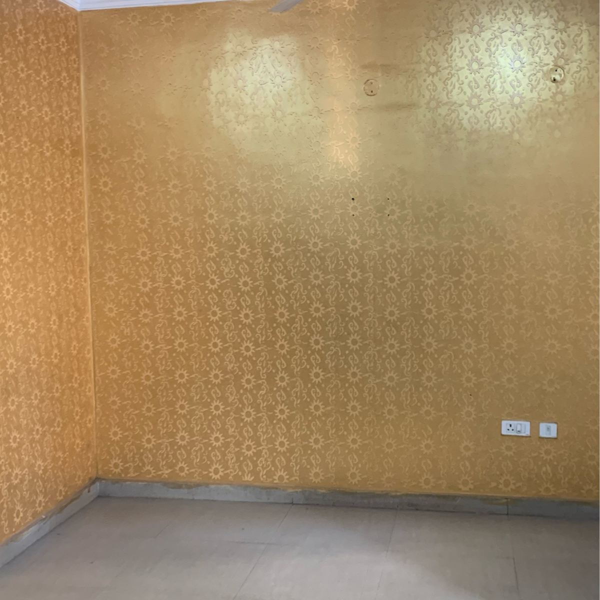 3.5 BHK Builder Floor For Sale in Patiala Road