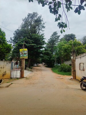  Plot For Sale in Doddagubbi