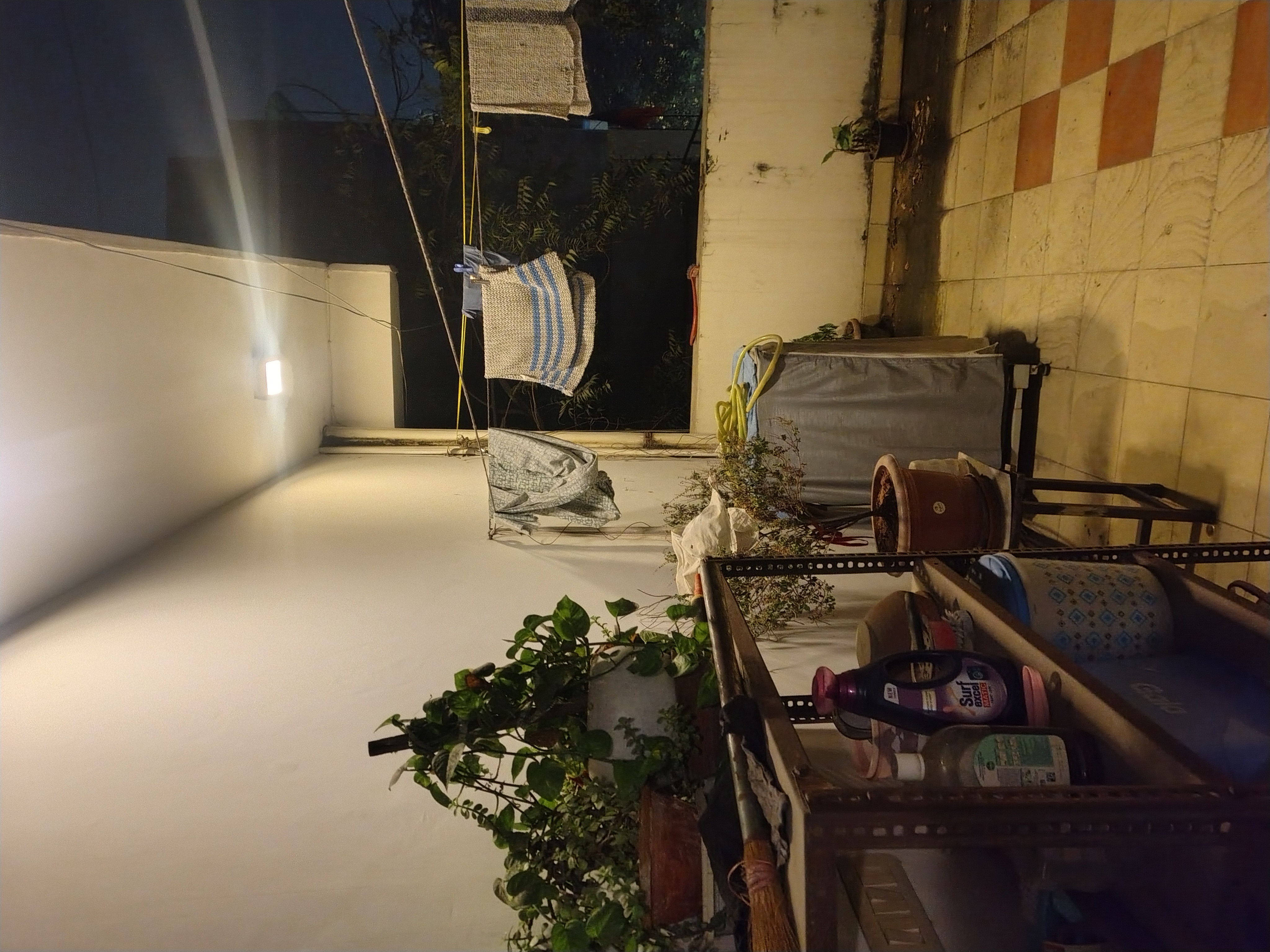 1 BHK + Study Room Builder Floor For Rent in M Block Malviya Nagar