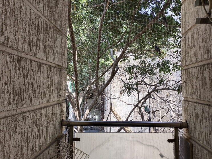 Balcony, queens-plaza 1 RK 250 Sq.Ft. Builder Floor In Sector 43 Gurgaon 9476641