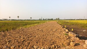 Plot Area in  Plot at Pamarru – for Sale