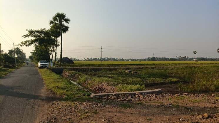 undefined, pamarru  180 Sq.Yd. Plot In Pamarru Vijayawada 9476712