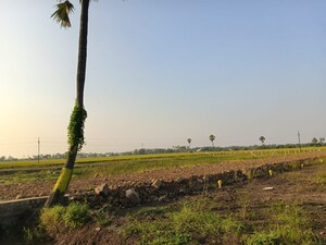 Plot Area in  Plot at Pamarru – for Sale